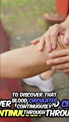 William Harvey's Revolutionary Discovery of Blood Circulation