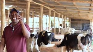 Tekera Mixed Farm on Reels