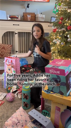 Her favorite horse just became HER horse! The way her little face scrunches up when she realizes! 🥺 #usatodaypets | Tennessean