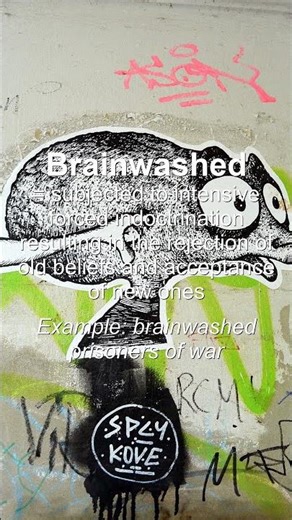 Word of the Day: Brainwashed #Shorts