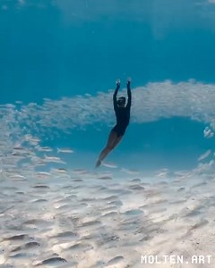 Take a deep breath... Let yourself drift into Aquaballet, a breathtaking performance that reminds us how art, nature, and spirit can move in perfect harmony. Created by Marianne Aventurier, an underwater dancer and filmmaker, this work is a love letter to the ocean, to animals, and to the quiet rhythm of life itself. Filmed in French Polynesia with her partner, Alex Voyer, a photographer and freediver, it captures that rare stillness where movement becomes meditation. The haunting score by Steph