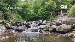 【广播电视·自己录制·韩国】清州放送（CJB） 8点新闻开始前广告（2024.09.02）