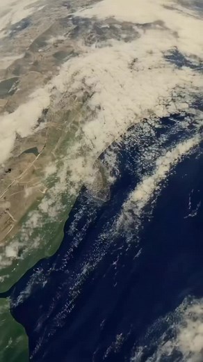 2.4K views · 4.3K reactions | Now that the dust has settled….. I’m ready for whatever ️ | Justin Gatlin | Facebook