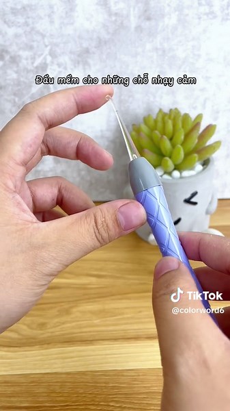 Color World DN trên TikTok