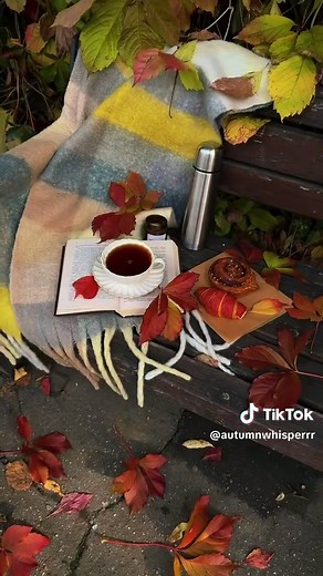 Autumn Dreaming: Falling Leaves & Cozy Fall Mood