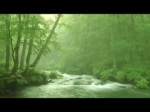 Japan Mountain Stream 1 Hour Series ① - Relaxing Background Music, Poetry of Water