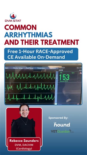 🚨 FREE RACE-Approved CE. Now Available On Demand ECG interpretation is one of the most essential skills in veterinary practice, yet it can feel overwhelming when every waveform looks similar at first glance. This on-demand CE breaks the process into clear, repeatable steps so you can read strips with confidence and accuracy. Join Dr. Rebecca Saunders, DVM, DACVIM (Cardiology) for a practical, case-focused walkthrough of the arrhythmias you see every week, along with the ones that require urgent