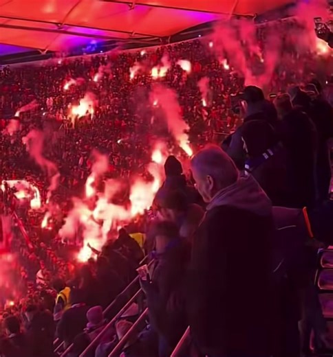 #bayernmunich #münchen #pyro #hsv #nurderhsv