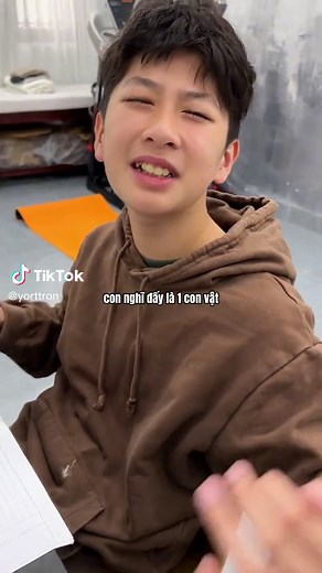 Understanding the Meaning of 'CON VOI' in Vietnamese