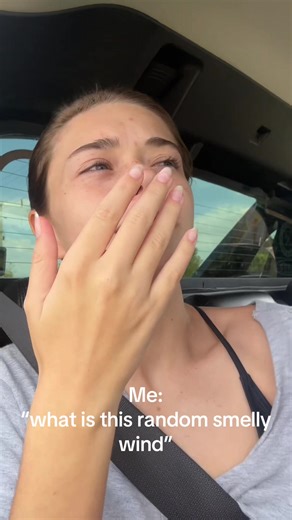 Who needs flavor aired, I want femboy air 😉 #smell #femboy #wind #fyp #fart