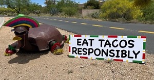 "Tortoise Fairy" revealed in Oro Valley