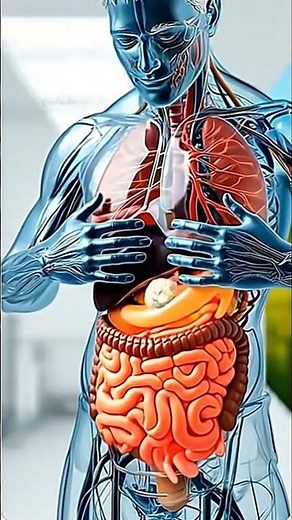 What Happens Inside Your Body After Eating Roasted Chicken 🍗 | 3D Digestion Explained