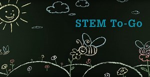 Video: Flower Dissection