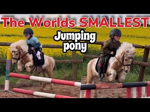 THE WORLDS SMALLEST JUMPING PONY