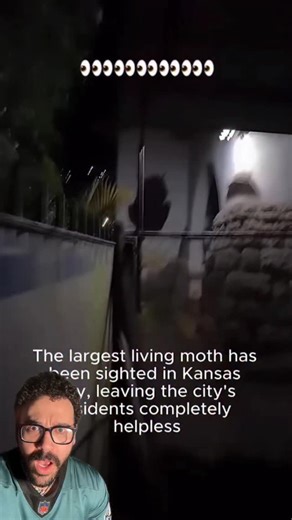 Kalil Diaz on Instagram: "RIP to Kansas City #paranormal #supernatural #moths #demons #scary #creepy #terrifying #trending #foryou #fyp"