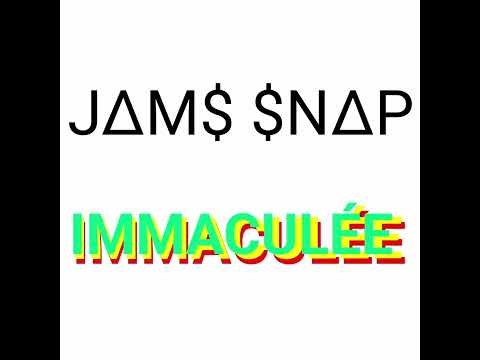 JAMS SNAP - Game Over test
