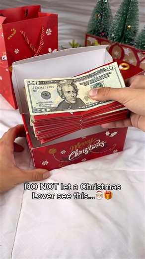 The Best Christmas Surprise!☺️🎁 #christmasshopping #christmasgiftideas #christmascountdown