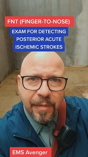 Finger-to-Nose Test: Detecting Posterior Strokes in EMS