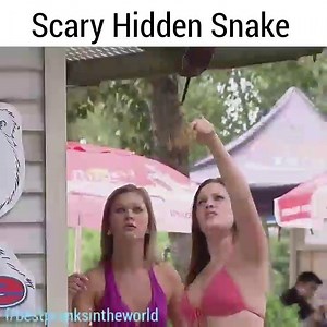 21K views · 200 reactions | LIke World Best Pranks | World Best Pranks | Facebook