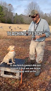 271K views · 2K reactions | Here is a fun game to introduce the word “Fetch” to your puppy. | Sporting Life Kennels | Facebook