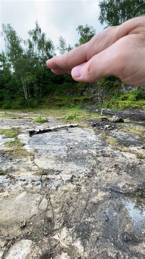 Angular unconformity!