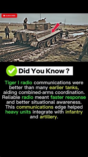 Tiger I Had This Massive Battlefield Edge #WW2 #Tanks #MilitaryHistory