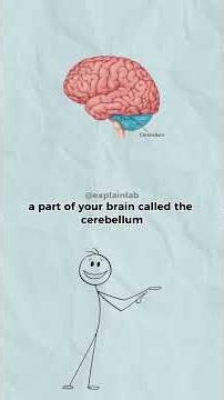 Why Can't You Tickle Yourself? 🧠 #explainlab #explained #science #tips #facts #animation #neurology