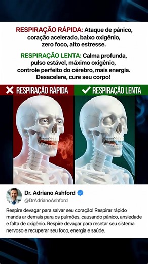 RESPIRAÇÃO LENTA vs RESPIRAÇÃO RÁPIDA 😮‍💨 O Que Acontece Dentro do Seu Corpo