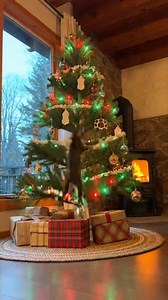 40K views · 255 reactions | Cats vs Christmas Trees Compilation | Evan Era | Facebook