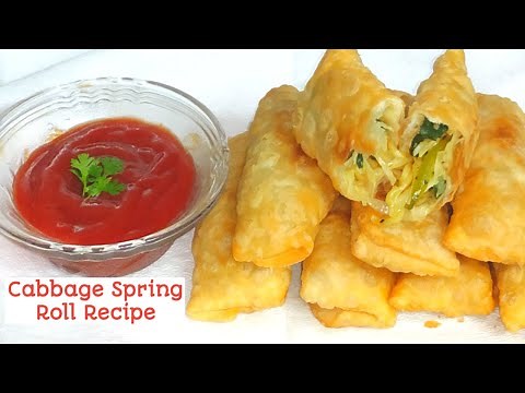 Cabbage Spring Roll Recipe | Snacks Recipe