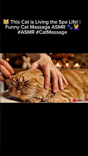 😹 This Cat is Living the Spa Life! | Funny Cat Massage ASMR 🐾💆‍♀️#ASMR #CatMassage