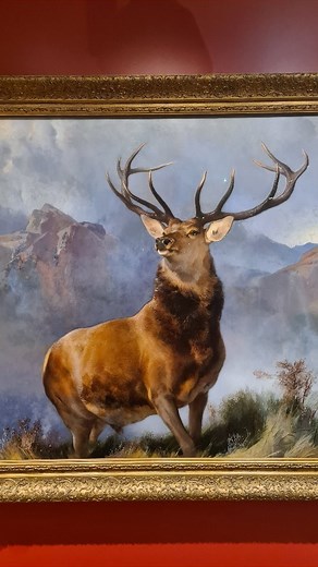 8.9K views · 1K reactions | This is what happens when Scottish...