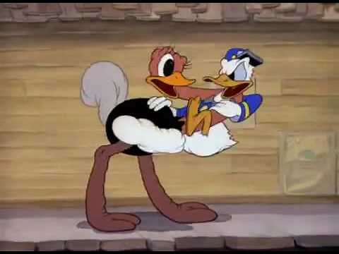 Donald's Ostrich || A Donald Duck Cartoon || Disney Shorts