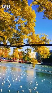 1.4M views · 133K reactions | The beauty of Nature  | The beauty of Nature | Facebook