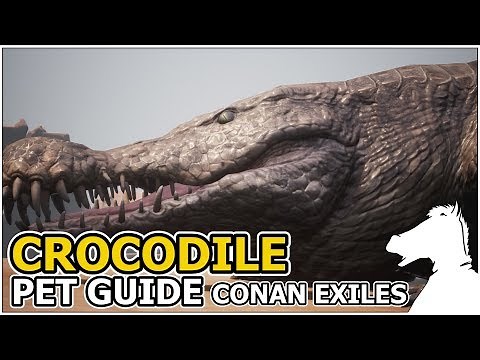 CROCODILE | Pets Guide | CONAN EXILES