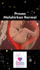 1.2K views | Pemesanan BOOSTER WA 085282500200 Pink Blue Alam Sutera Pendaftaran Chat nomor di atas Info chat DM instagram @PinkBlueFC Pemesanan Booster *(Pink Blue Alam Sutera)* Ruko Jalur Sutera Kav 31A No. 12, Alam Sutera, Pakualam, Kec. Serpong Utara, Kota Tangerang Selatan, Banten 15335 https://maps.app.goo.gl/sihdG4s5DBpvnHho6?g_st=iw Untuk konsultasi mohon DM IG klinik agar dibales langsung oleh dokter Pink Blue Fertility Care (@pinkbluefc) | Dr. David Hwang, Spog | Facebook