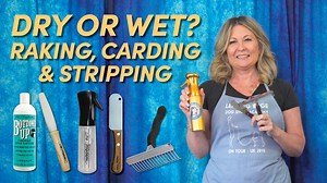 In our recent “Why You Should NEVER Brush a Dry Coat” we had so many questions about whether that applied to raking, carding or stripping the coat. And the answer is YES - you should still use a brushing spray for the same reasons you would use a spray when brushing your dog’s coat. Watch today’s tutorial to find out how Allison recommends you use brushing spray when raking or stripping your dog’s coat. Watch more tutorials on our YouTube here👉https://youtu.be/hkPhkX7cLyQ | Leading Edge Dog Sho