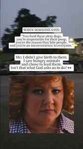 When Feeding Hungry Strays Somehow Becomes Your Fault 🐾
