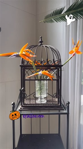 いけばな梶井宮御流 on Instagram: "大好評🎃 “横浜・西洋館ハロウィン2025” 開催中 👻 家元・藤原素朝が、#横浜山手西洋館「 #西洋館ハロウィン2025」にて #横浜市イギリス館 の装花を担当しております🎃✨ 秋の横浜で、異国情緒あふれるハロウィンをお楽しみください。 10月31日までの開催となっておりますので、ぜひ足をお運びください。 詳しくは 梶井宮御流公式HP〈お知らせ〉をご覧ください。 LINKはプロフィールから＞＞＞ ——— 展示やコラボレーション、体験教室のご相談は、 @kajiinomiyagoryu_official DM よりお問い合わせください♩ ——— #生花 #華道 #梶井宮御流 #日本文化 #梶井宮御 #イギリス館 #ハロウィン #Halloween #ikebana #kajiinomiyagoryu #zen"