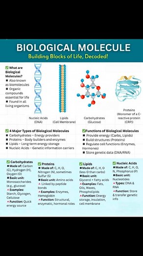 Biological Molecule | Chemistry Help