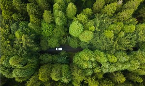 Study Confirms CO2 Is Greening The Earth; Geo-Engineering Driven By Profit and Megalomania; Statewide Highs;   "Control Energy, Control Human Beings"