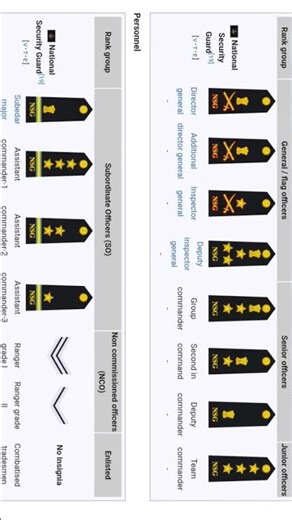 NSG Rank and Insignia