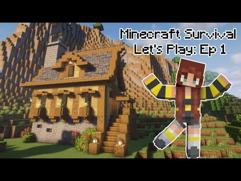 Minecraft Survival Let's Play: Ep 1