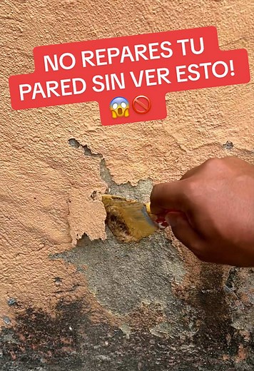 THINNER y BICARBONATO: ¡Elimina Humedad de Paredes!
