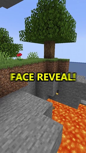 Face reveal? 😳 #minecraft #facereveal #viral | face reveal