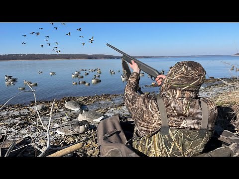 Main Lake Diver Duck Hunt: Big Flocks Dive Into the Decoys!