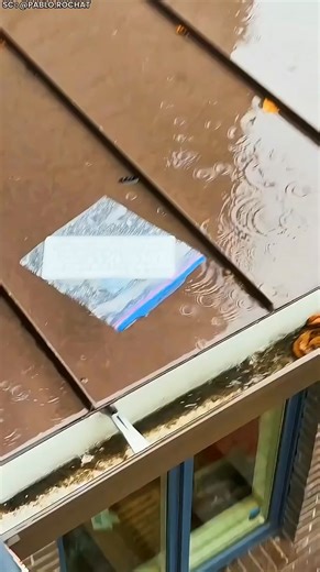 See How Nature Writes Its Own Code #facts | Next Door