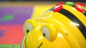The buzz about bee robots - ABC Education