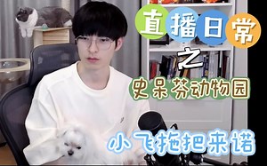 【文韬Stefan】230314直播小日常之《史呆芬动物园》小 飞 拖 把 来 咯～