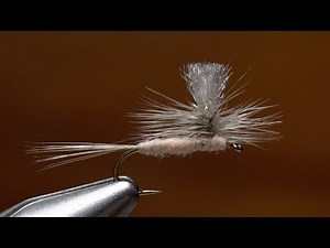 Parachute Hendrickson